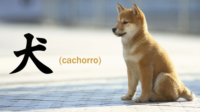 cachorro cao simbolo japao